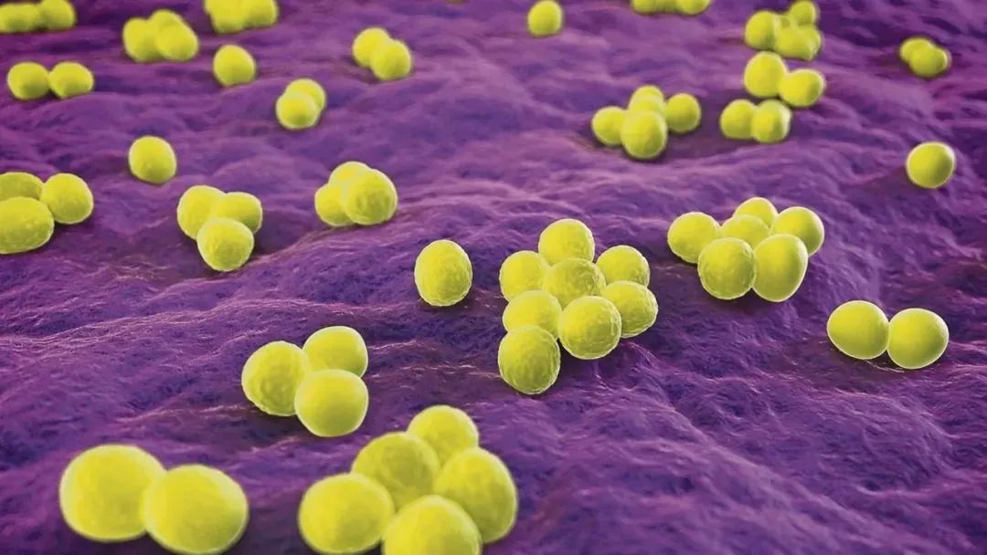 640 (1).jpg 640 (1).jpg